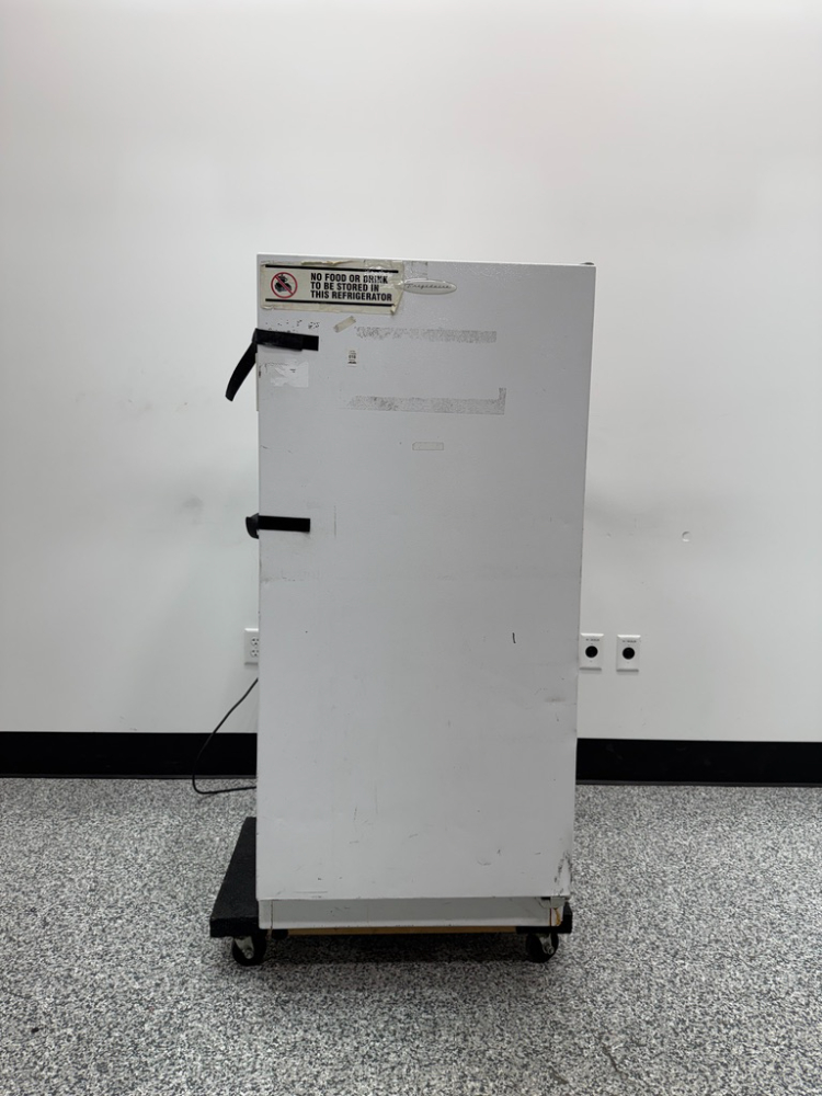 Image of Electrolux Commercial Freezer